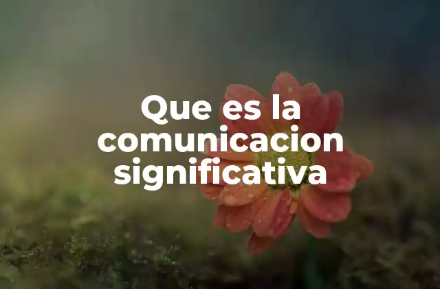 La conexión emocional en la interacción humana