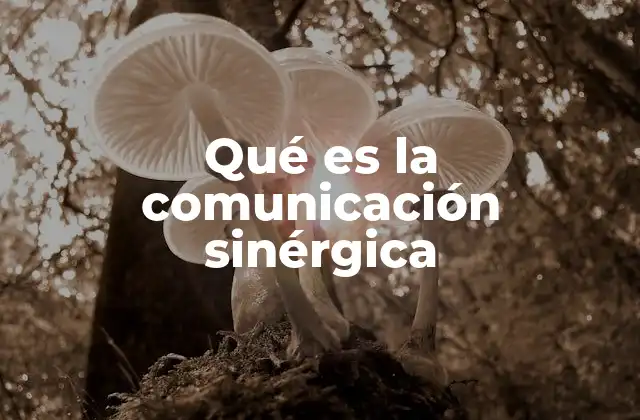 Qué es la Comunicación Sinérgica 2 La base de una interacción efectiva