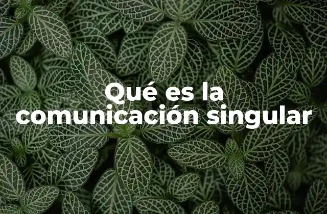 Qué es la Comunicación Singular