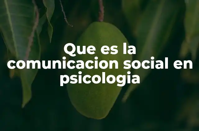 Que es la Comunicacion Social en Psicologia