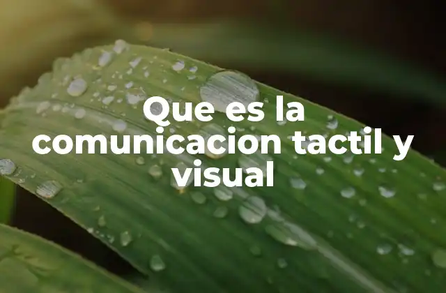 Que es la Comunicacion Tactil y Visual