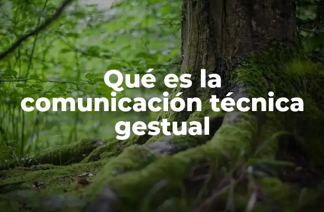 Qué es la Comunicación Técnica Gestual