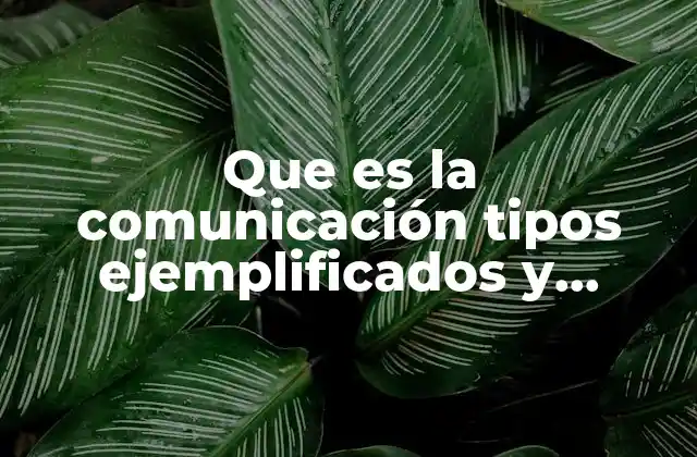 Que es la Comunicación Tipos Ejemplificados y Elementos que Intervienen