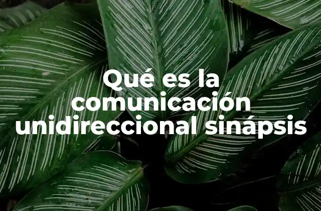 Qué es la Comunicación Unidireccional Sinápsis