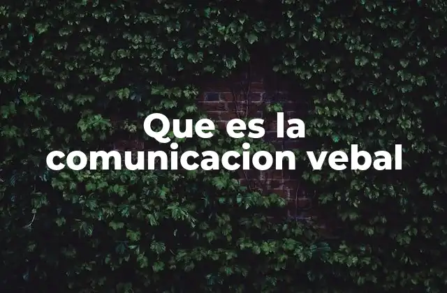 Que es la Comunicacion Vebal