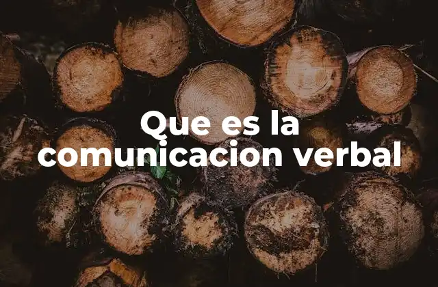 Que es la Comunicacion Verbal