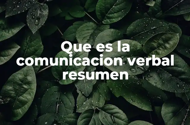 Que es la Comunicacion Verbal Resumen