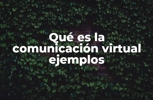 Qué es la Comunicación Virtual Ejemplos