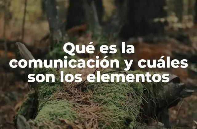Qué es la Comunicación y Cuáles Son los Elementos
