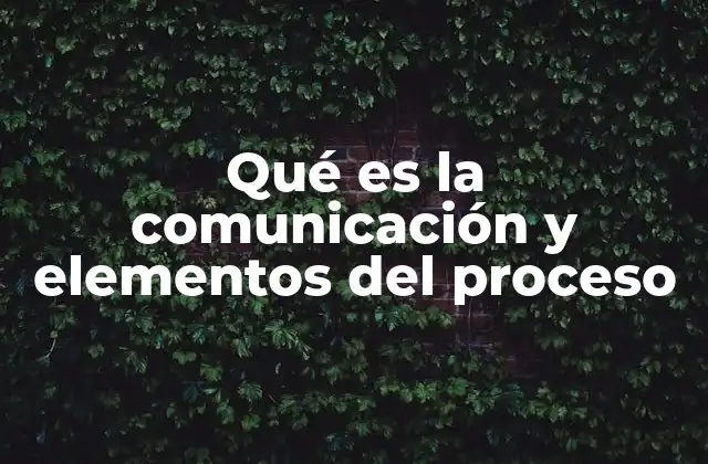 Qué es la Comunicación y Elementos Del Proceso
