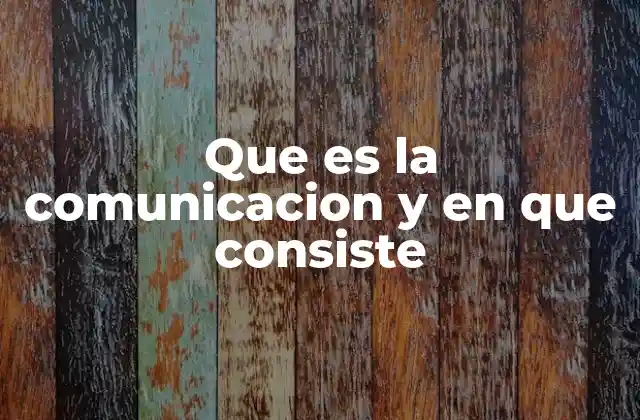 Que es la Comunicacion y en que Consiste