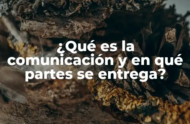 ¿qué es la Comunicación y en Qué Partes Se Entrega?