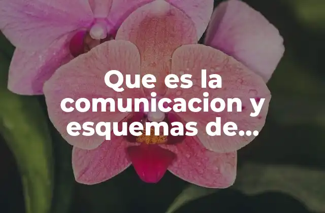 Que es la Comunicacion y Esquemas de Comunicacion 2 La importancia de comprender los esquemas de comunicación