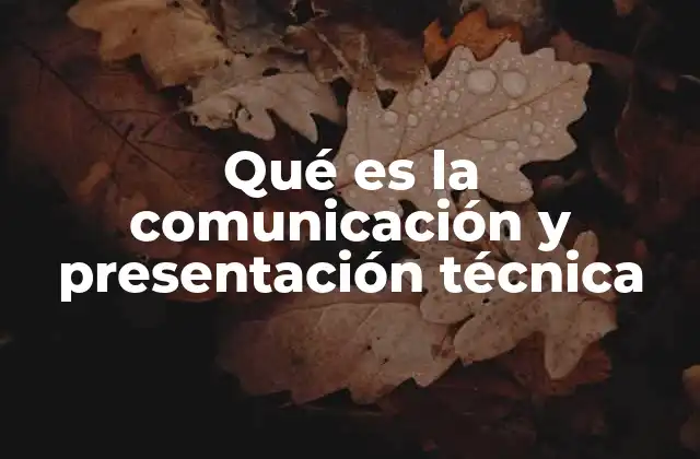Qué es la Comunicación y Presentación Técnica