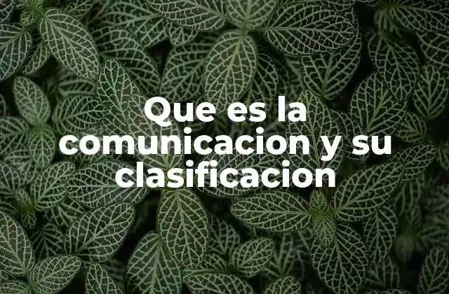 Formas y tipos de comunicación en la vida cotidiana
