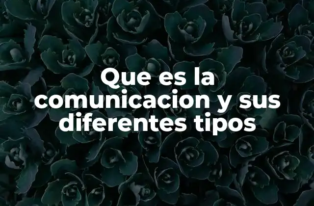 Que es la Comunicacion y Sus Diferentes Tipos