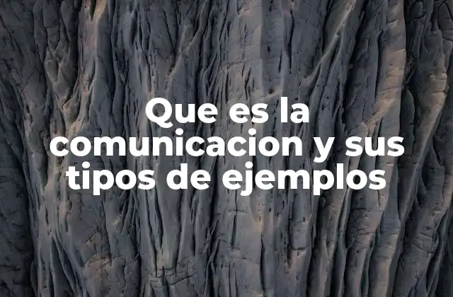 Que es la Comunicacion y Sus Tipos de Ejemplos