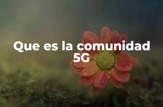 Que es la Comunidad 5g