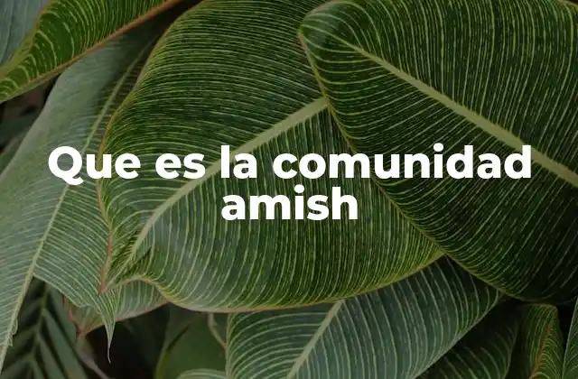 Que es la Comunidad Amish