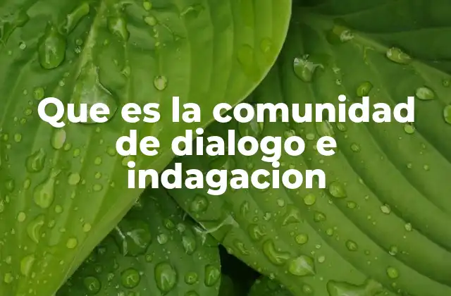 Que es la Comunidad de Dialogo e Indagacion 2 Espacios donde florece el diálogo y la indagación