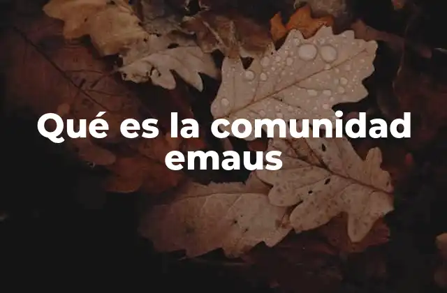 Qué es la Comunidad Emaus