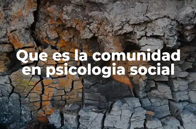 Que es la Comunidad en Psicologia Social