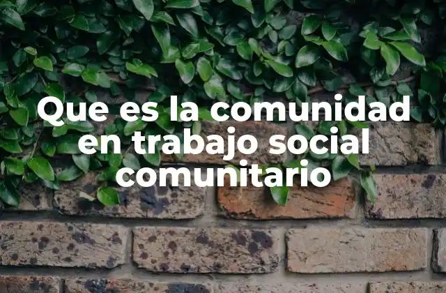 La importancia de las redes sociales en la comunidad