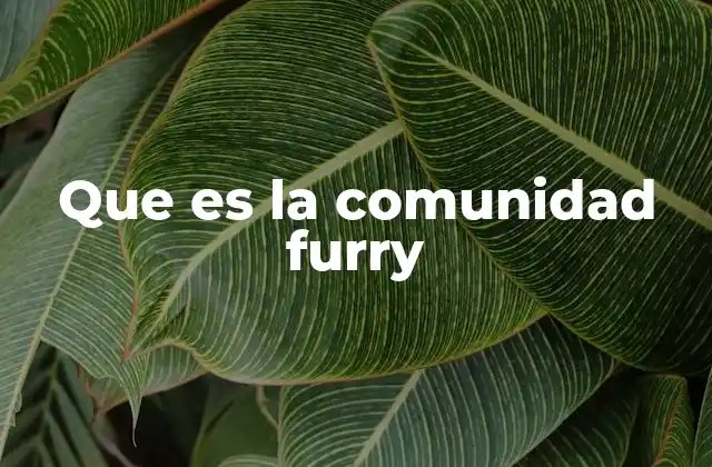 Que es la Comunidad Furry 2 El origen y evolución de esta cultura
