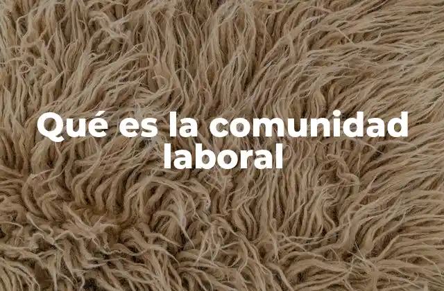 Qué es la Comunidad Laboral