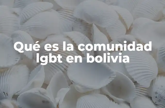 Qué es la Comunidad Lgbt en Bolivia