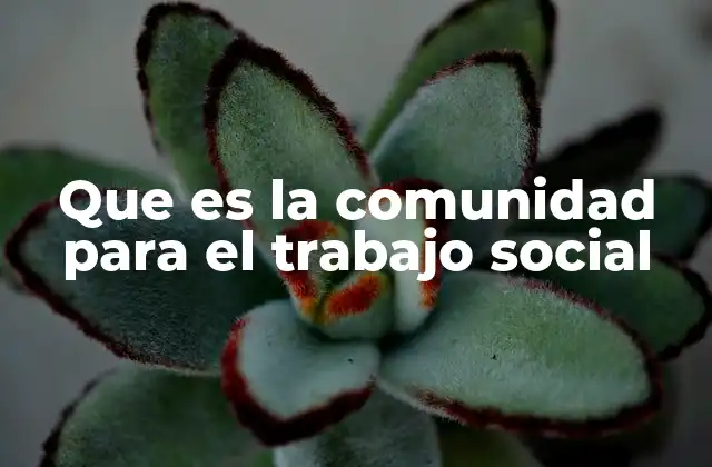 Que es la Comunidad para el Trabajo Social
