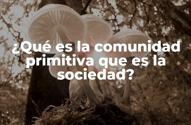 Orígenes de la organización social humana