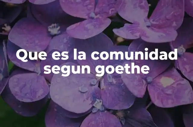 Que es la Comunidad Segun Goethe