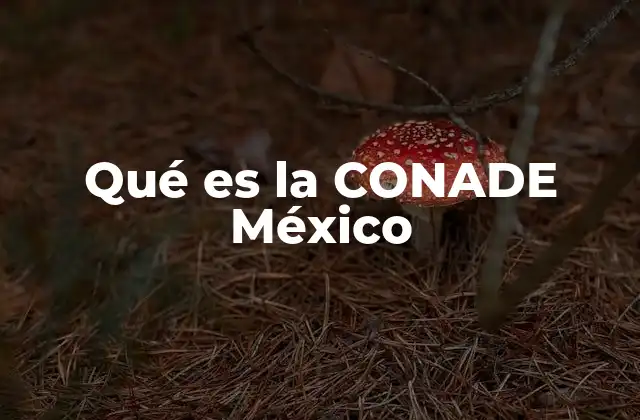 Qué es la Conade México