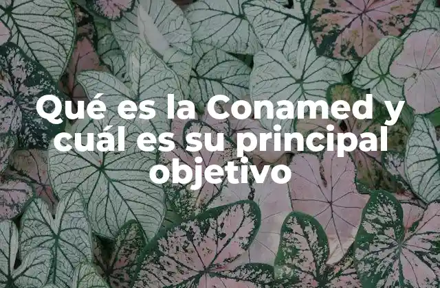 Qué es la Conamed y Cuál es Su Principal Objetivo