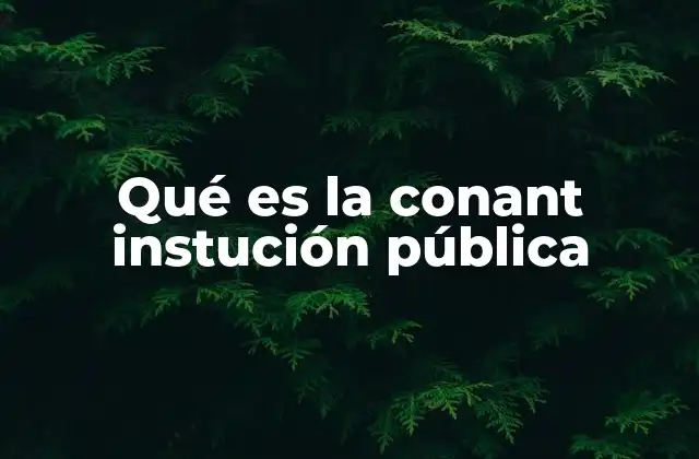 Qué es la Conant Instución Pública