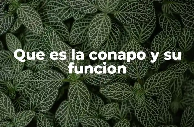 Que es la Conapo y Su Funcion