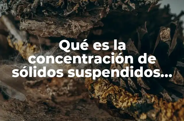 Qué es la Concentración de Sólidos Suspendidos Volátiles en Suspensión