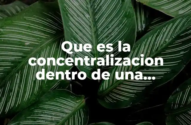 Que es la Concentralizacion Dentro de una Organizacion