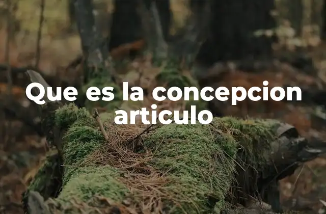 La importancia de estructurar una idea antes de escribir