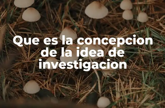 El proceso inicial para desarrollar una idea investigativa