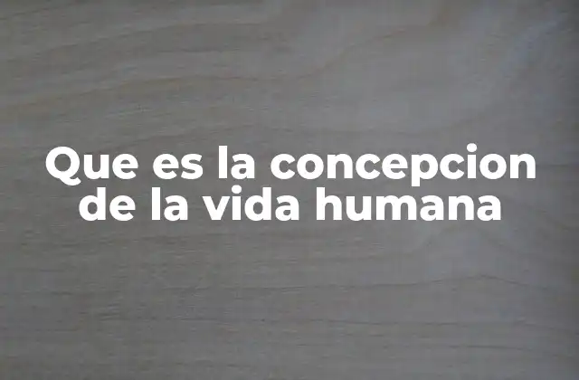 Que es la Concepcion de la Vida Humana