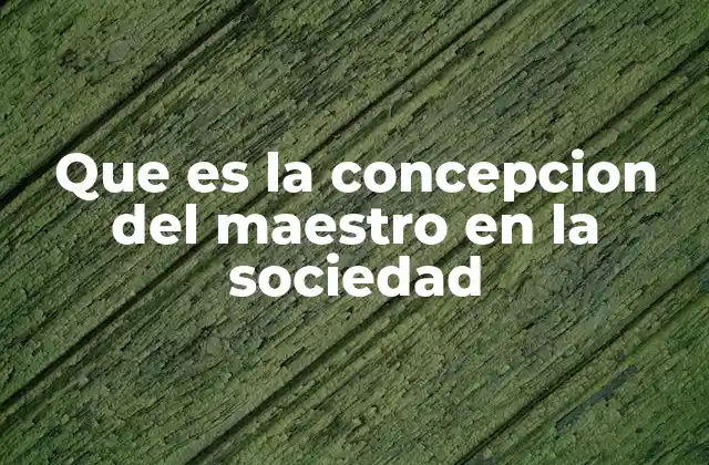 Que es la Concepcion Del Maestro en la Sociedad