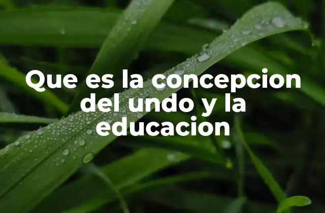 Que es la Concepcion Del Undo y la Educacion