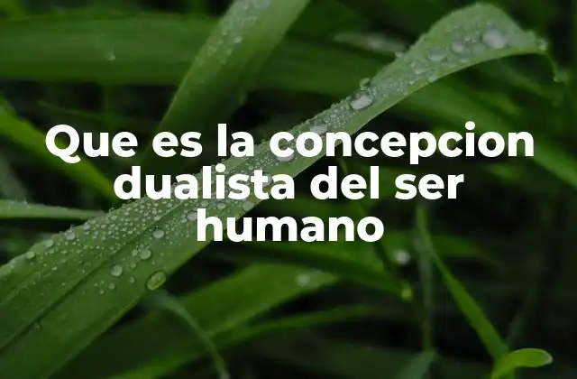 Que es la Concepcion Dualista Del Ser Humano