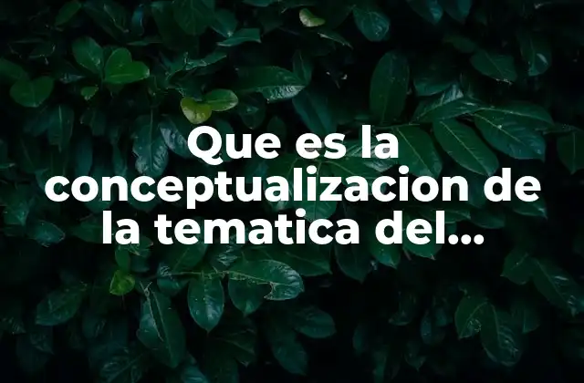 Que es la Conceptualizacion de la Tematica Del Proyecto