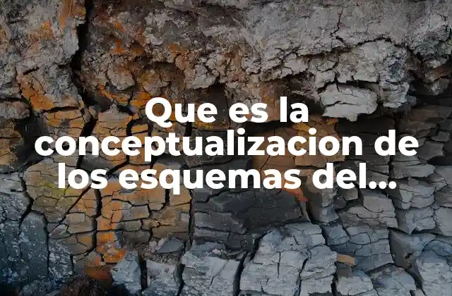 Que es la Conceptualizacion de los Esquemas Del Conocimiento