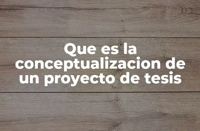 Que es la Conceptualizacion de un Proyecto de Tesis