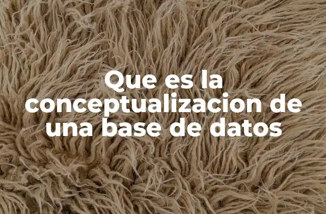 Que es la Conceptualizacion de una Base de Datos