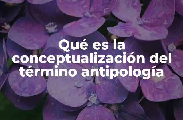 Qué es la Conceptualización Del Término Antipología